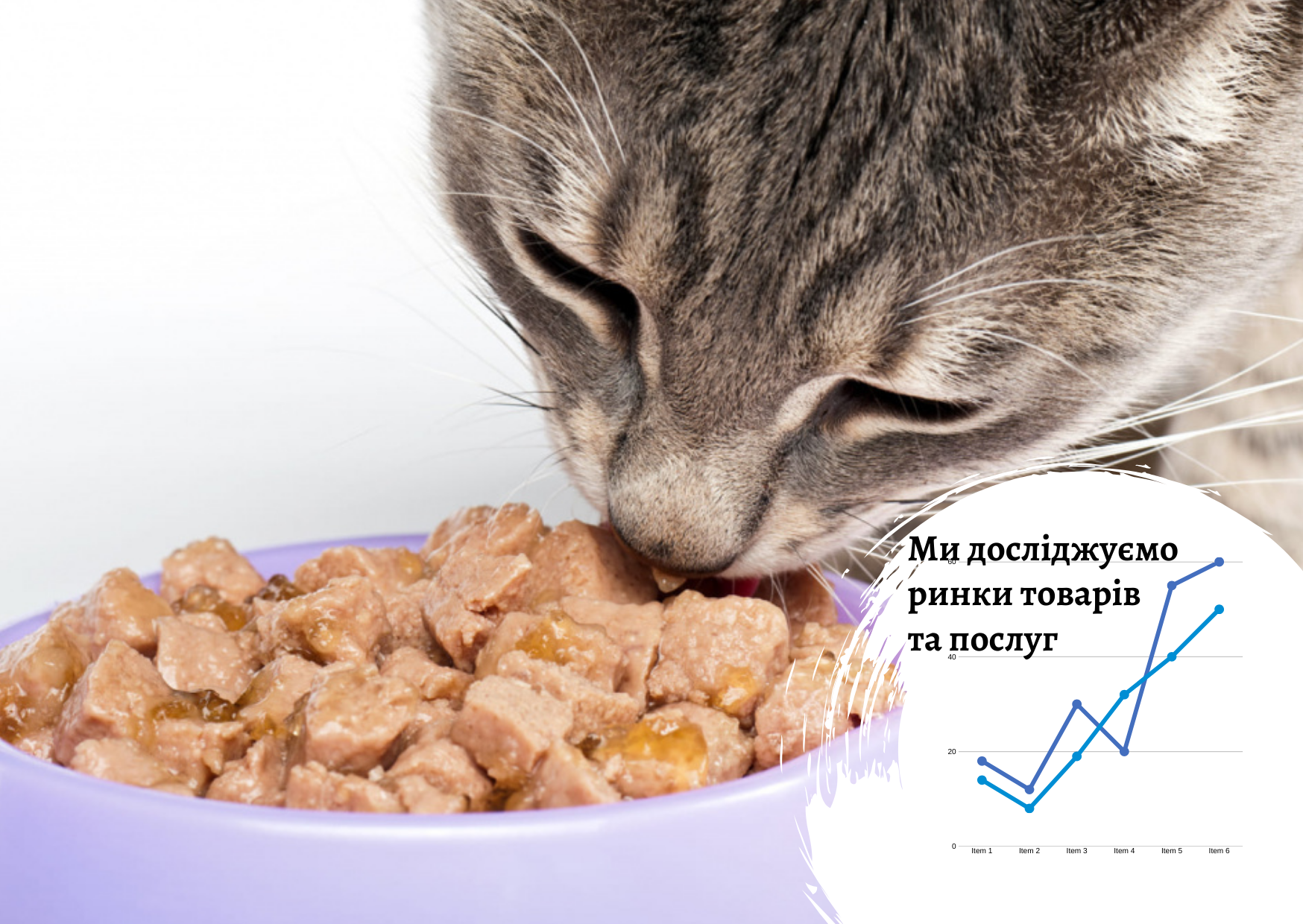 Ринок вологих кормів для домашніх тварин в Україні: оцінка потенціалу ринку